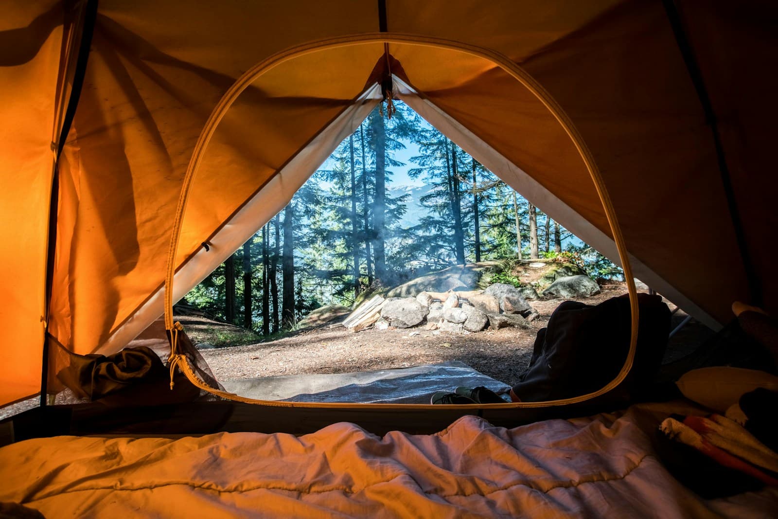 Pemandangan hutan dari dalam tenda perkemahan